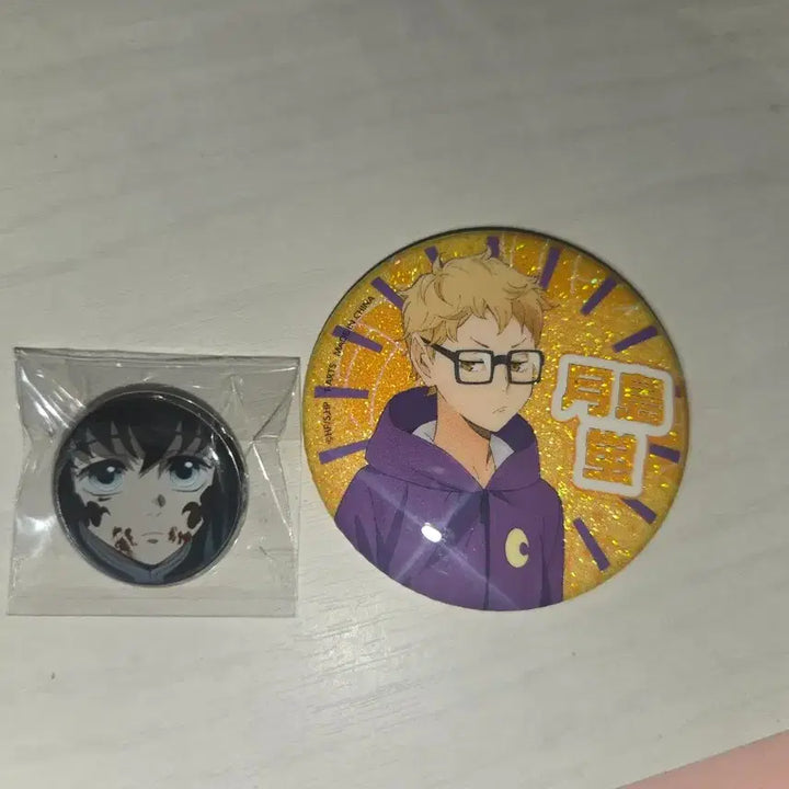 [BUNJANG] Unbranded Muichiro Badge Set / 비공굿)무이치로 뱃지
