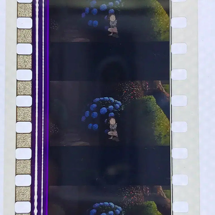 [BUNJANG] Studio Ghibli Spirited Away Film Cut Set / 센과 치히로의 행방불명 영화필름컷 6프레임 3매 (F-13)
