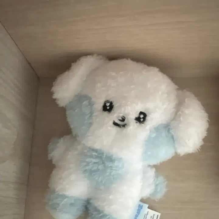 [BUNJANG] ZeroNinekyuninnie Keyring Doll / 제로니 규니니 키링 양도 (더이상가격안내려요!