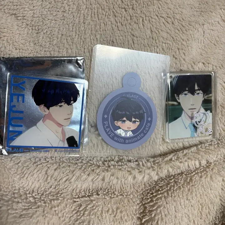 [BUNJANG] PLAVE Yejun Corotto + Acrylic Coaster + SD POB Bundle Set / 애니메이트 예준 코롯타 + 아크릴 코스터 + sd 특전 / 일괄 플레이브