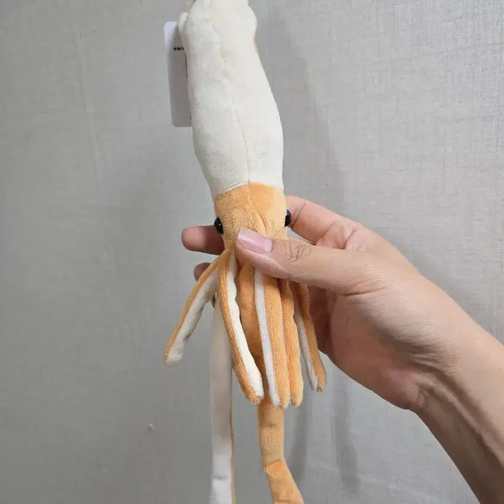 [BUNJANG] Squid Plush Keyring / 해산물 오징어 키링 인형