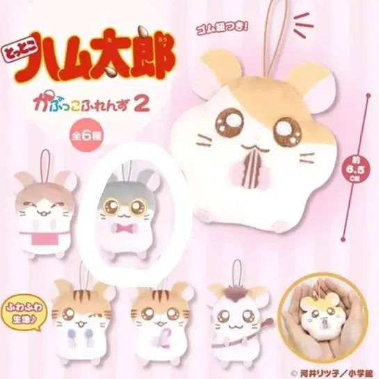 [SOLD OUT] 안경 햄토리 인형 누이 가챠