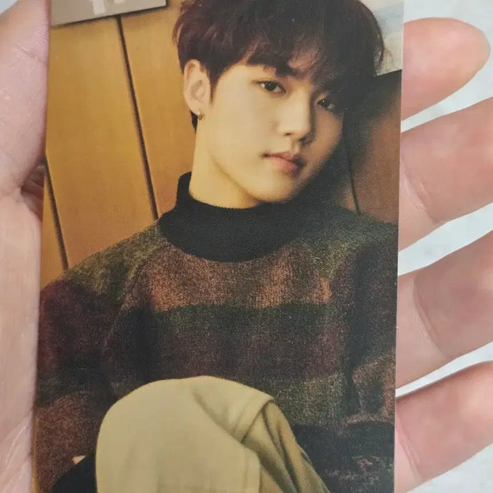 [BUNJANG] TREASURE Doyoung Photocard Bundle Set / 트레저 도영 포토카드