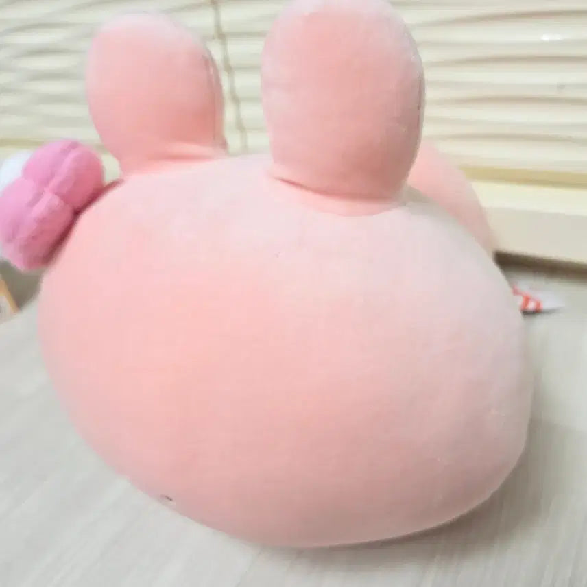 [BUNJANG] Asami Mimi-chan 38cm Authentic Medium-Large Plush / 무료배송 아사미미짱 38cm 정품 중대형 인형 판매