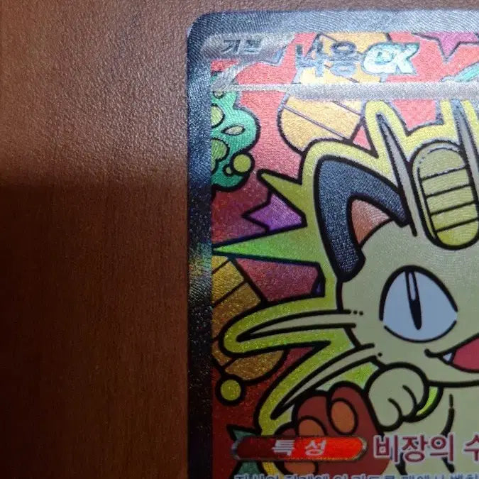 [SOLD OUT] 포켓몬 나옹 EX 카드 세트