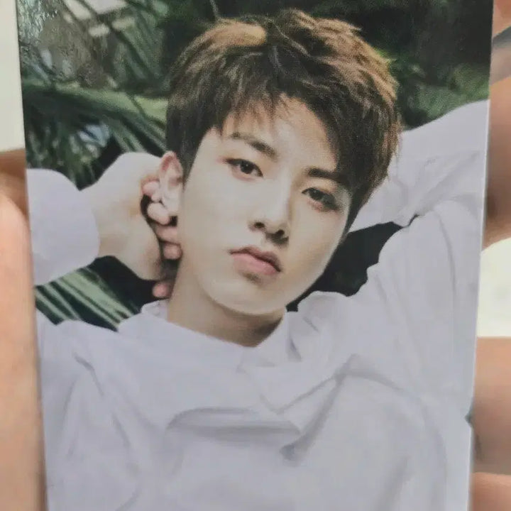 [BUNJANG] Treasure So Junghwan Photocard Bundle Set / 트레저 소정환 포토카드
