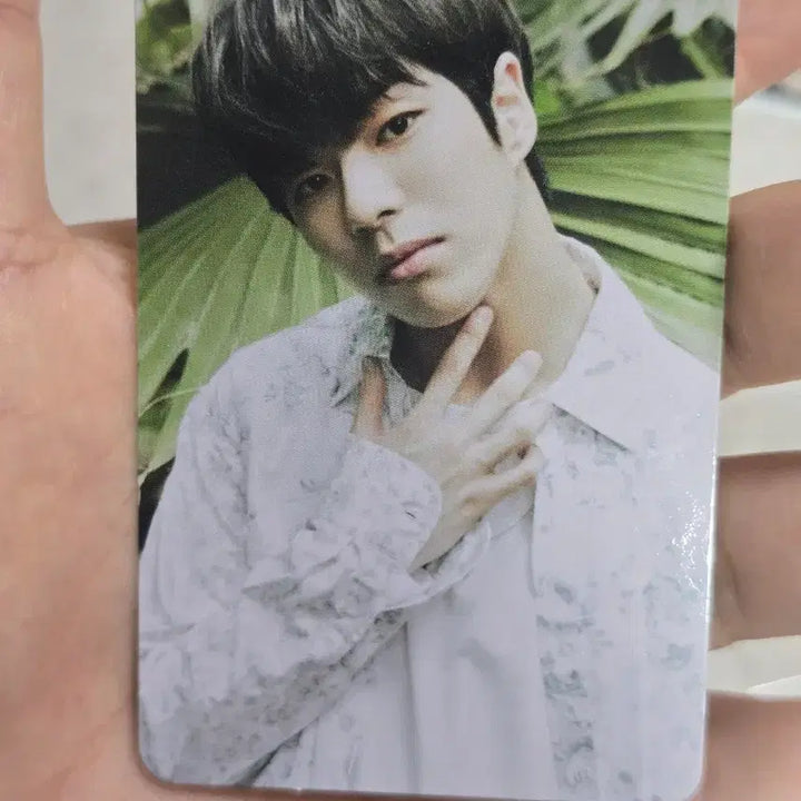 [BUNJANG] TREASURE Photocard Bundle Set / 트레저 포토카드 일괄