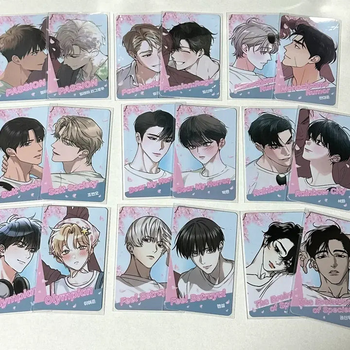 [BUNJANG] Noctua Random Photocard Full Set Bundle / 녹티아 랜덤 포토카드 포카 패션 라가 레인보우시티 반칙 등 풀세트 일괄