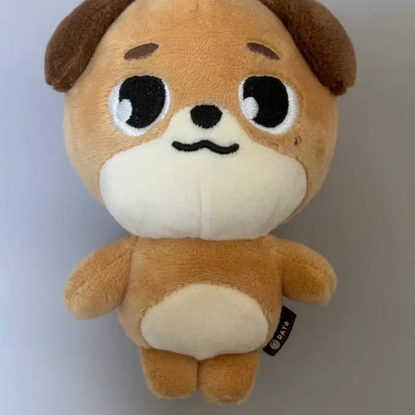 [BUNJANG] NCT Dream Denimals Don Plush / 데니멀즈 돈 24