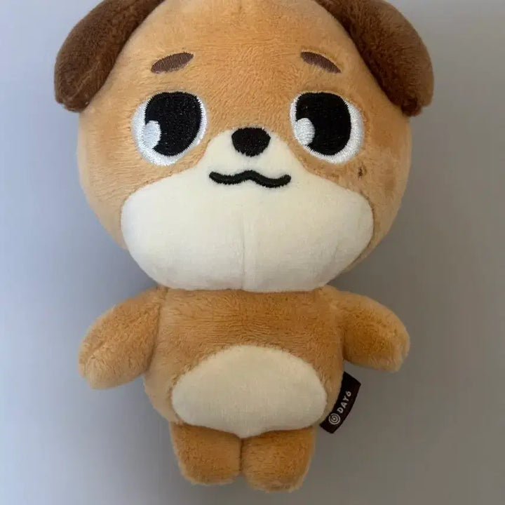 [BUNJANG] NCT Dream Denimals Don Plush / 데니멀즈 돈 24