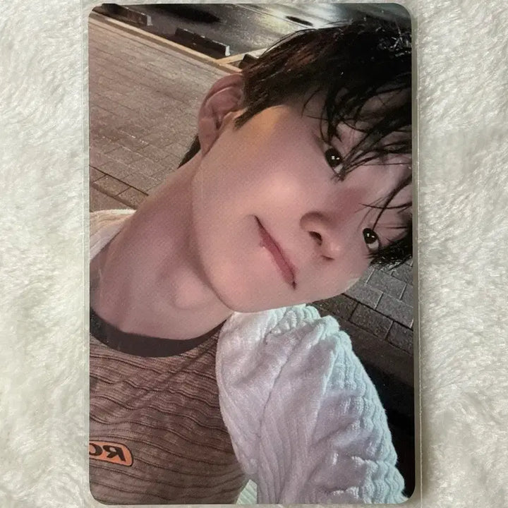 [BUNJANG] The Boyz Q a;effect Everline POB Photocard / 더보이즈 큐 a;effect 에버라인 촉촉 ver 미공포