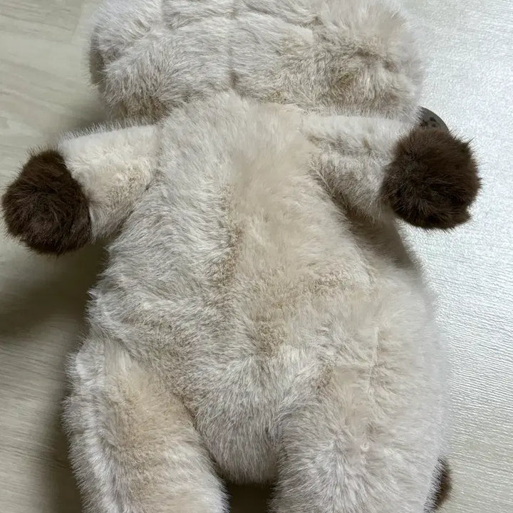 [SOLD OUT] 라이어캣츠 샤미 중형 고양이 인형 새상품