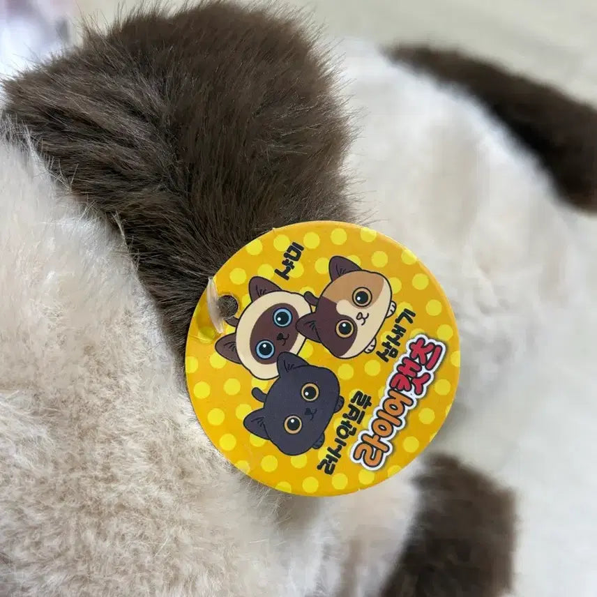 [SOLD OUT] 라이어캣츠 샤미 중형 고양이 인형 새상품