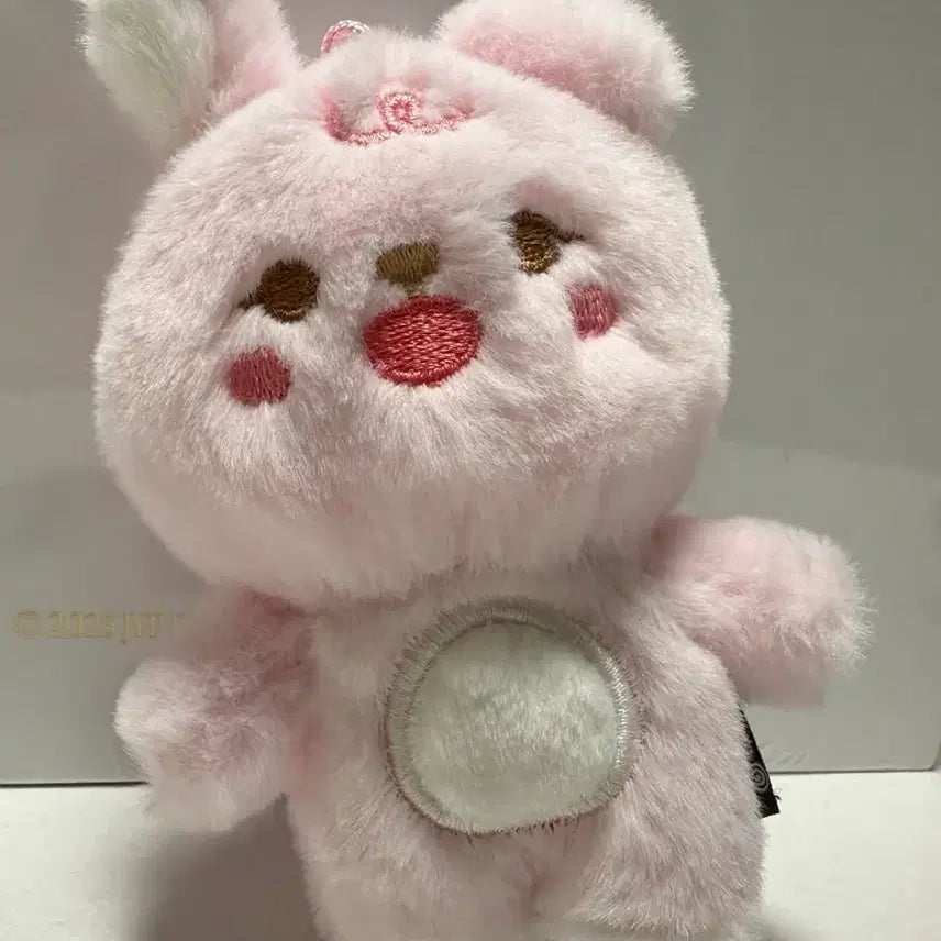 [SOLD OUT] 데이식스 쁘띠멀즈 필