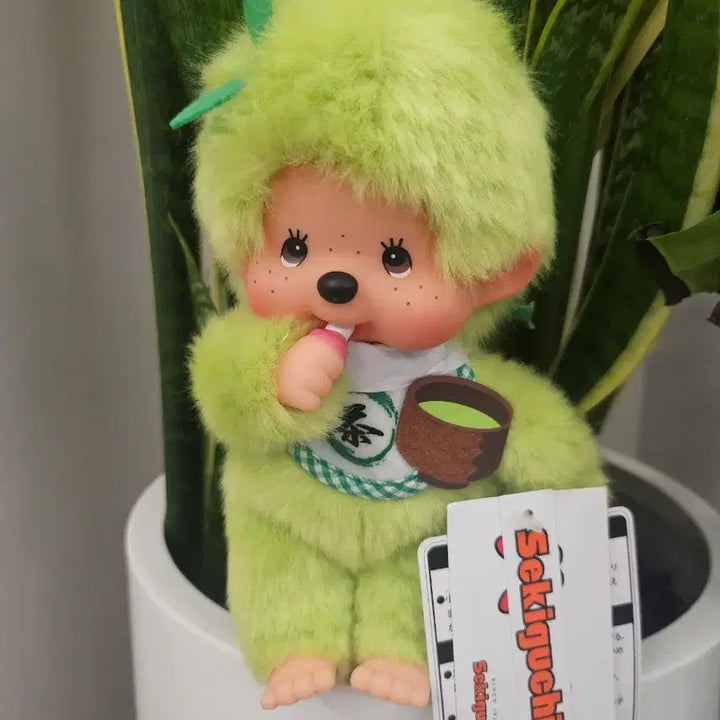[SOLD OUT] 녹차몬치치 말차 인형 새상품