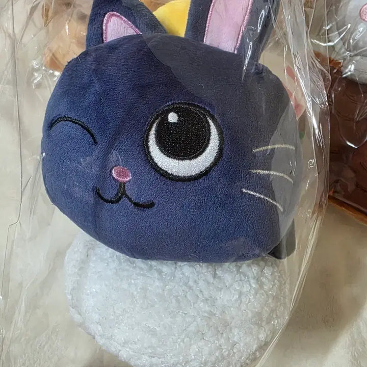 [BUNJANG] RIIZE Wonbin Tonyangduck RIIZUSHI Sushi Doll / 라이즈 원빈 토냥덕 라이즈시 스시 팝업 인형