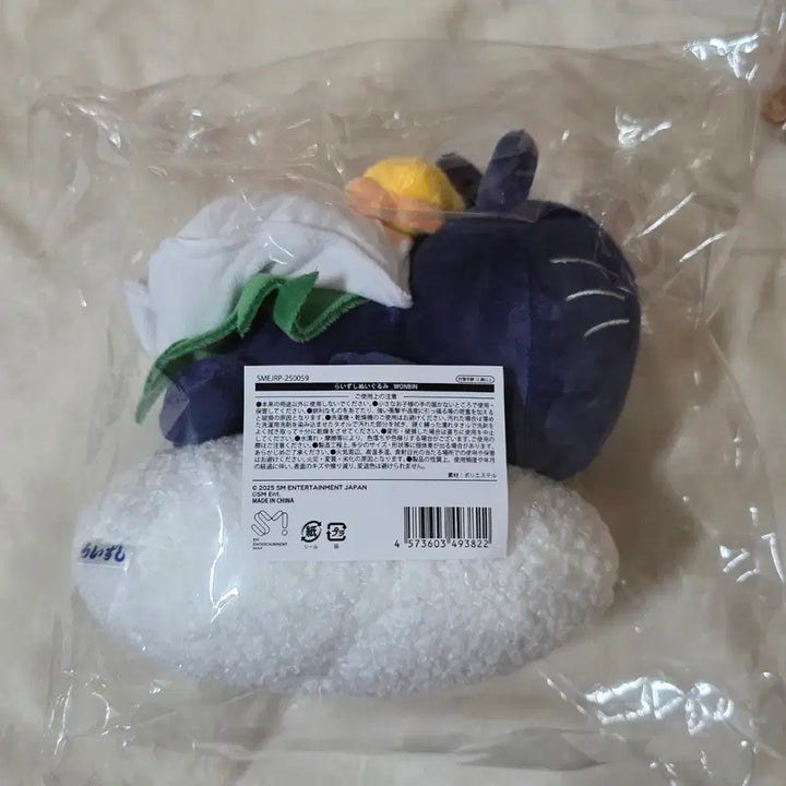 [BUNJANG] RIIZE Wonbin Tonyangduck RIIZUSHI Sushi Doll / 라이즈 원빈 토냥덕 라이즈시 스시 팝업 인형