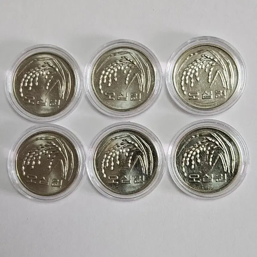 [BUNJANG] 2014 50 Won Coin Bundle Set / 2014년50원주화