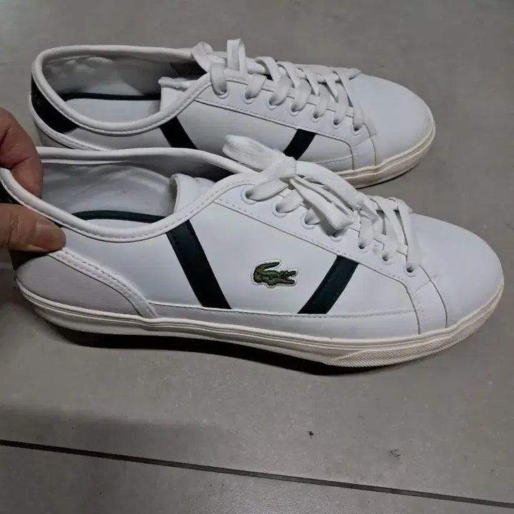 [BUNJANG] Lacoste White Sneakers Green Stripe / 라코스테 흰색 스니커즈 그린 스트라이프