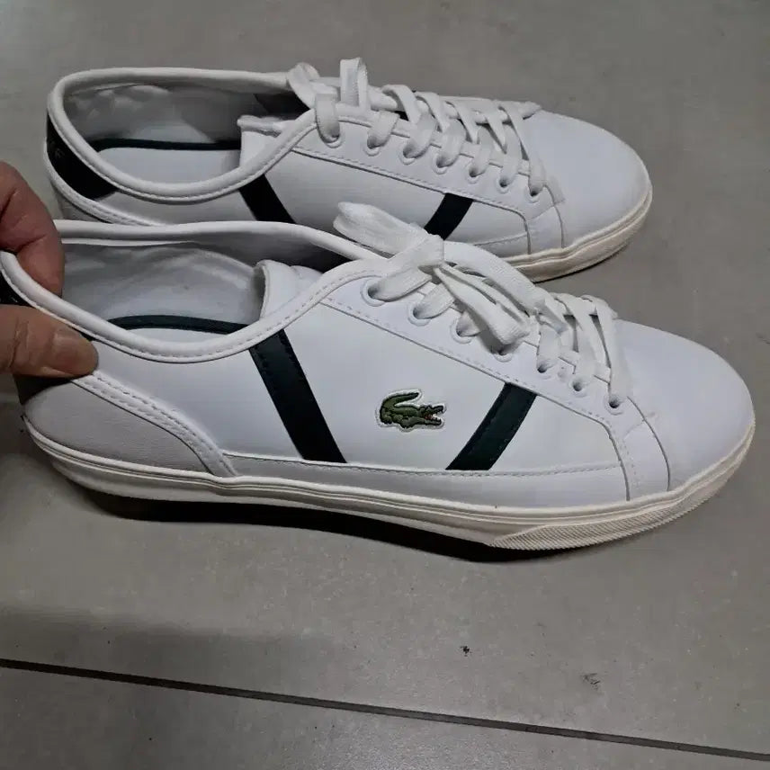[BUNJANG] Lacoste White Sneakers Green Stripe / 라코스테 흰색 스니커즈 그린 스트라이프