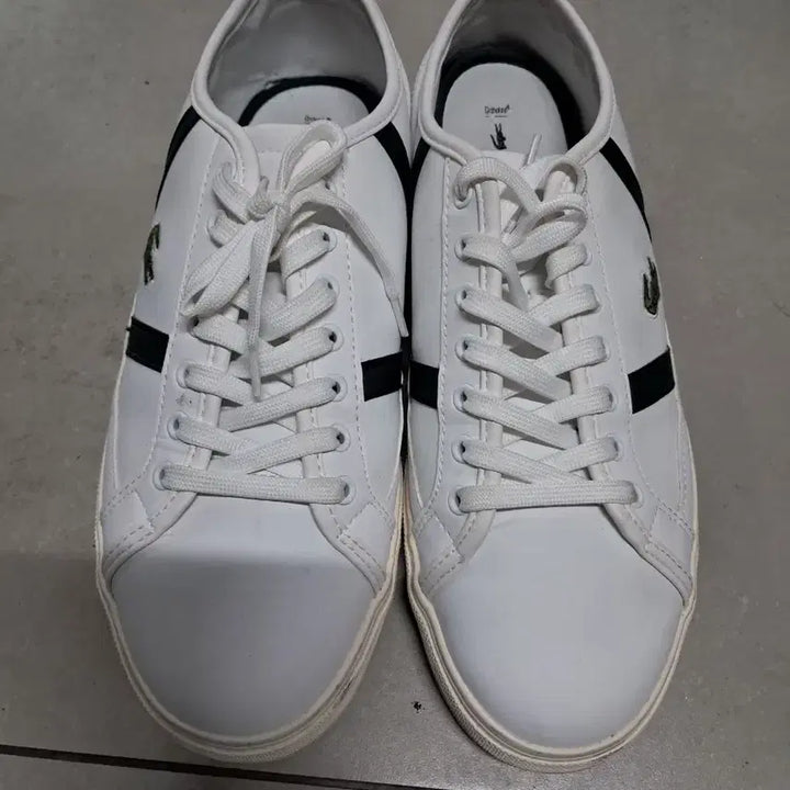 [BUNJANG] Lacoste White Sneakers Green Stripe / 라코스테 흰색 스니커즈 그린 스트라이프