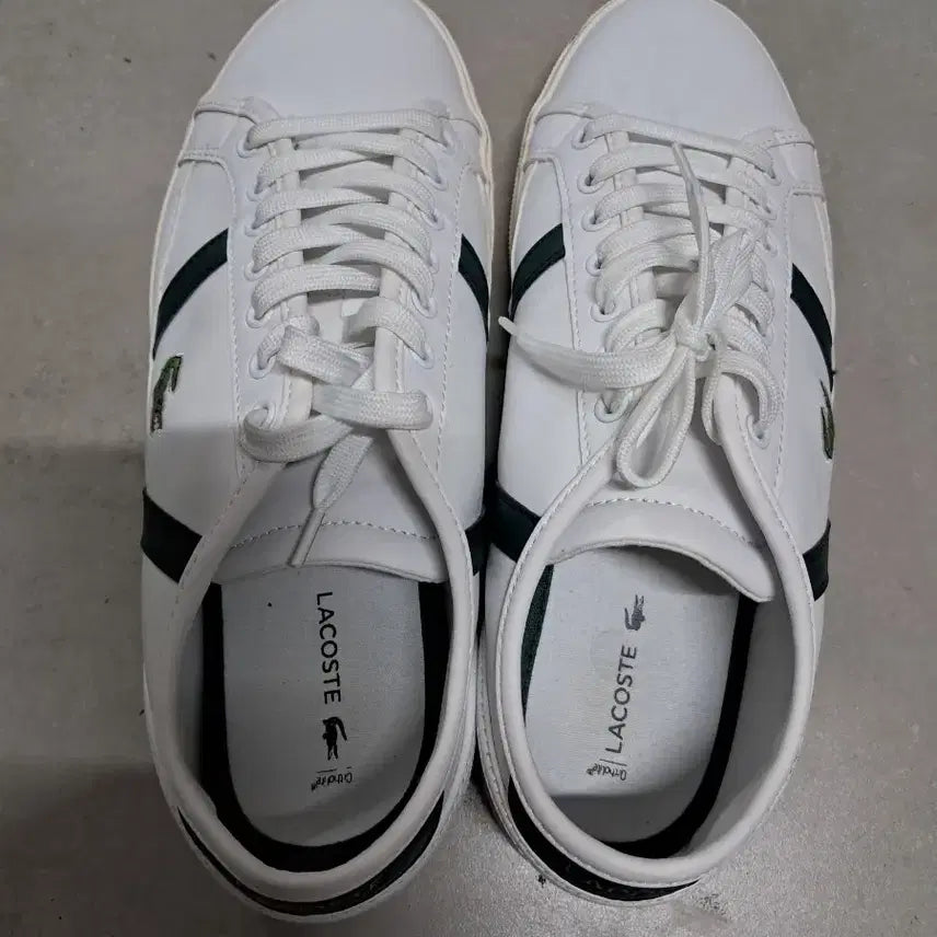 [BUNJANG] Lacoste White Sneakers Green Stripe / 라코스테 흰색 스니커즈 그린 스트라이프