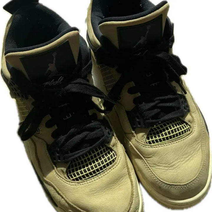 [BUNJANG] Jordan 4 Mushroom Sneakers / 조던4 머쉬룸 w270