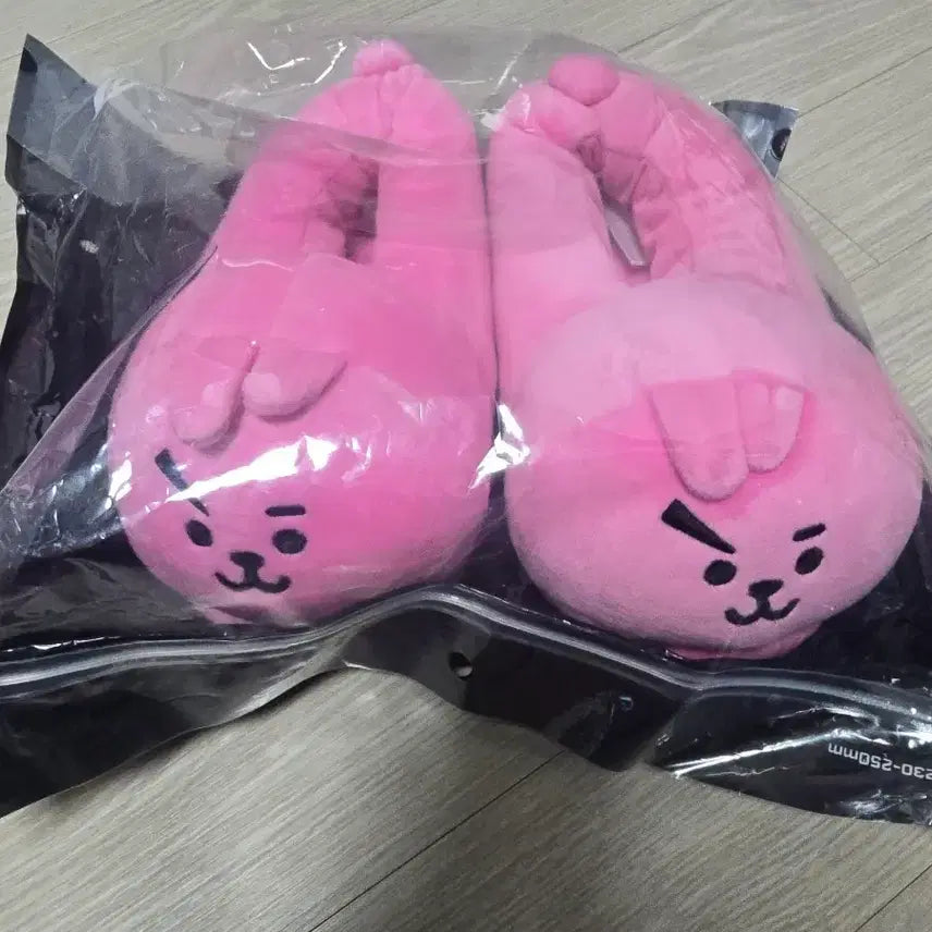 [BUNJANG] BT21 COOKY Slippers / (원가양도) BT21 쿠키 인형 슬리퍼 COOKY BTS 방탄소년단