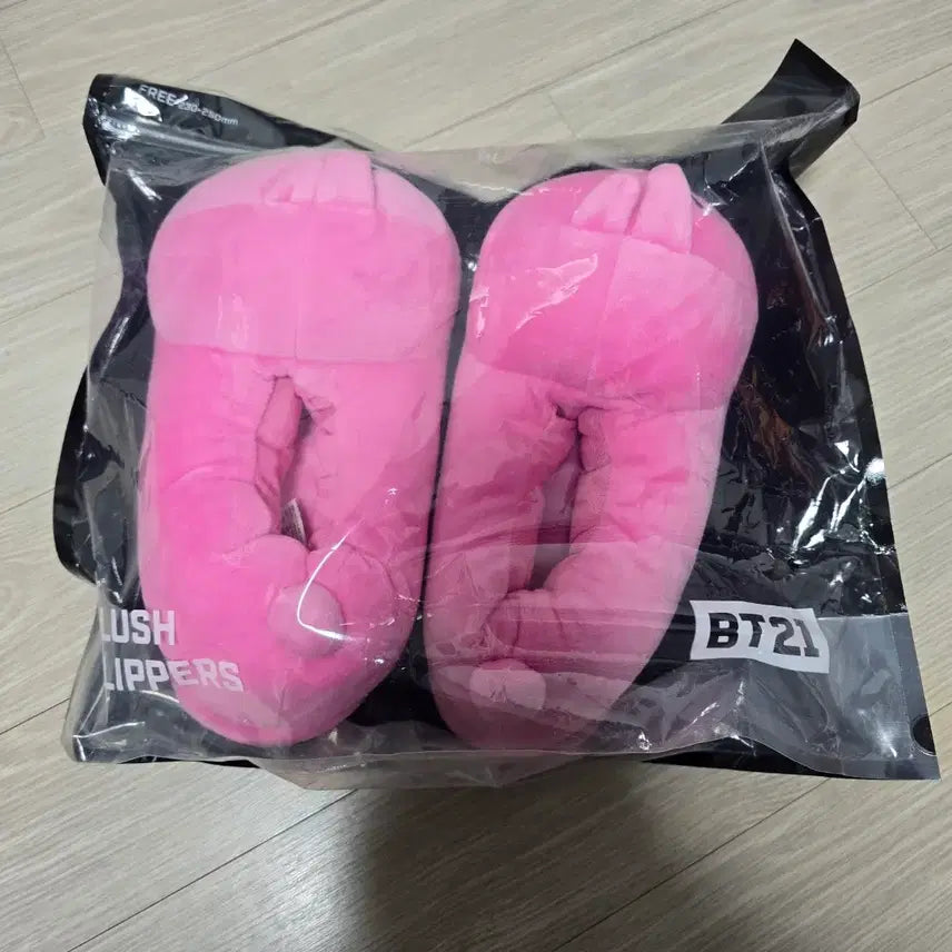 [BUNJANG] BT21 COOKY Slippers / (원가양도) BT21 쿠키 인형 슬리퍼 COOKY BTS 방탄소년단