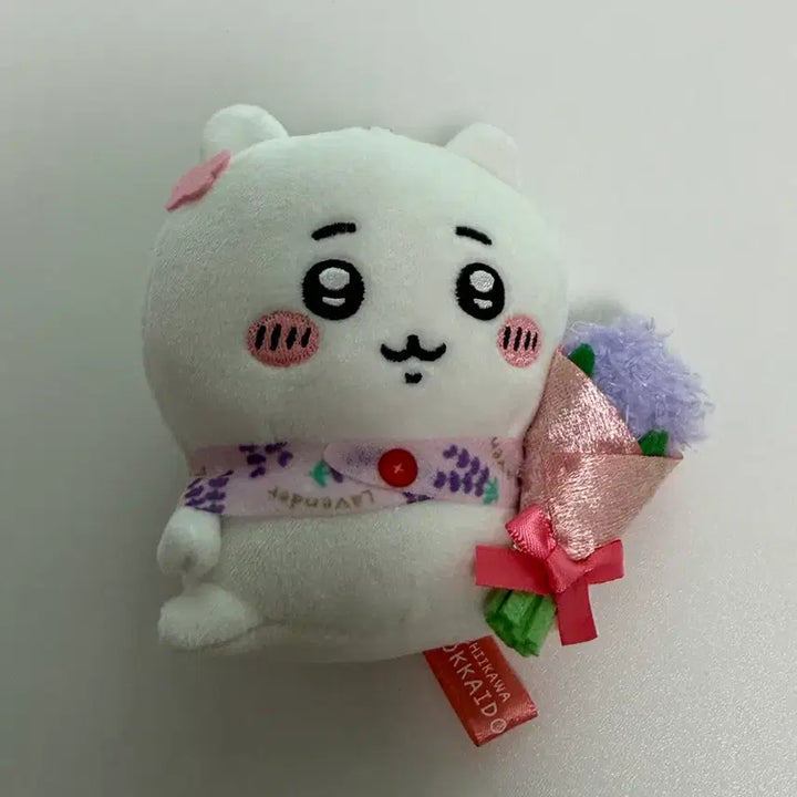 [BUNJANG] Chiikawa Hokkaido Limited Edition / 치이카와 홋카이도 한정