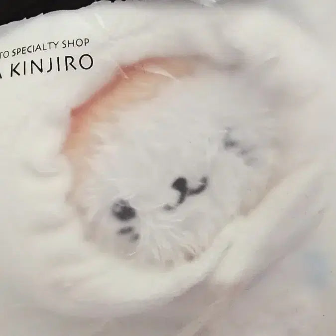 [BUNJANG] NCT WISH U-U Pocket Wishdoll Bubble Cat Wangmandu Hat / [2차품절 재입고예정]엔시티위시 유우시 포켓 위시돌 버블냥 왕만두 모자