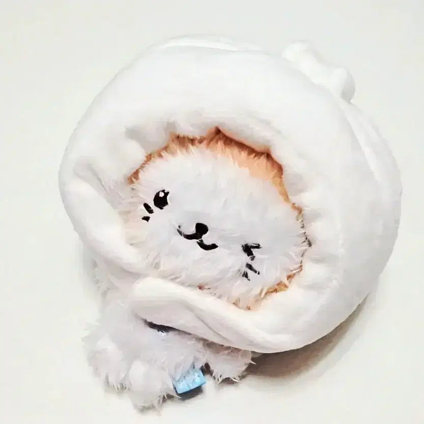 [BUNJANG] NCT WISH U-U Pocket Wishdoll Bubble Cat Wangmandu Hat / [2차품절 재입고예정]엔시티위시 유우시 포켓 위시돌 버블냥 왕만두 모자