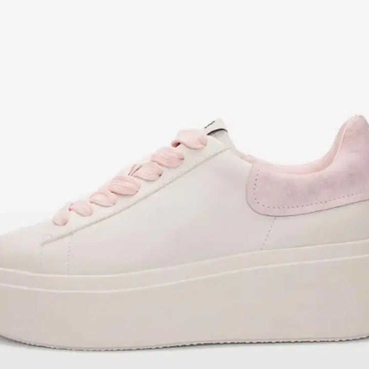 [BUNJANG] ASH Mobi Be Kind Platform Sneakers / ASH(아쉬) 모비 비카인드 플랫폼 스니커즈(37, 235-240) 판매