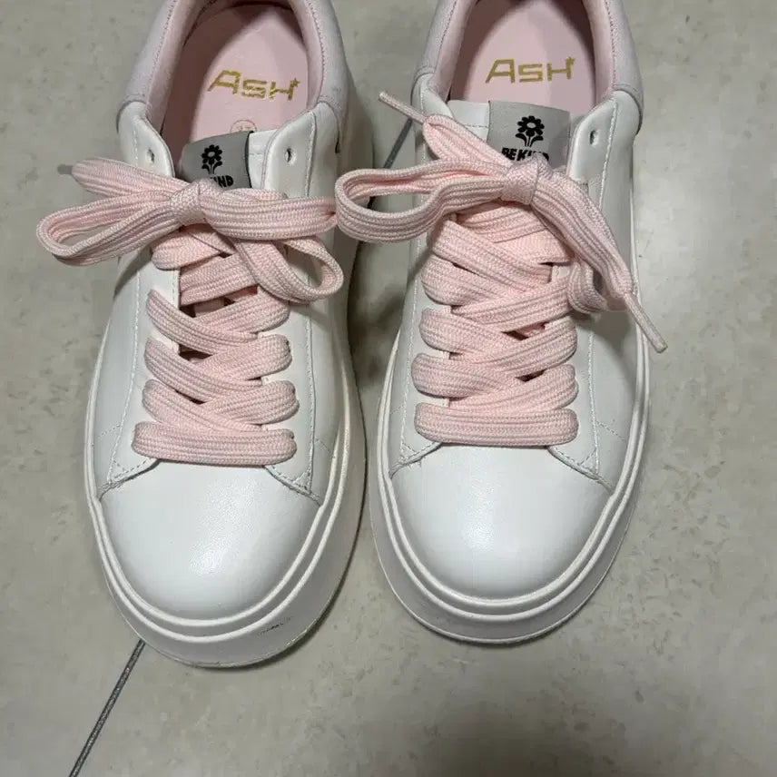 [BUNJANG] ASH Mobi Be Kind Platform Sneakers / ASH(아쉬) 모비 비카인드 플랫폼 스니커즈(37, 235-240) 판매