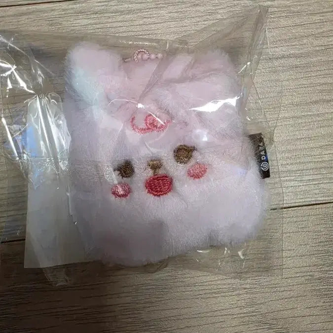 [BUNJANG] Day6 Merchandise / 데이식스 굿즈