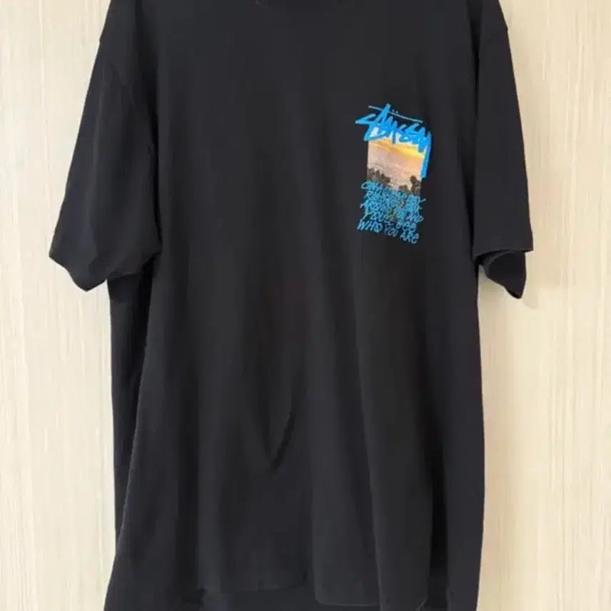 [BUNJANG] Stussy Clear Day T-Shirt Black / [L] 스투시 클리어데이 티셔츠 블랙