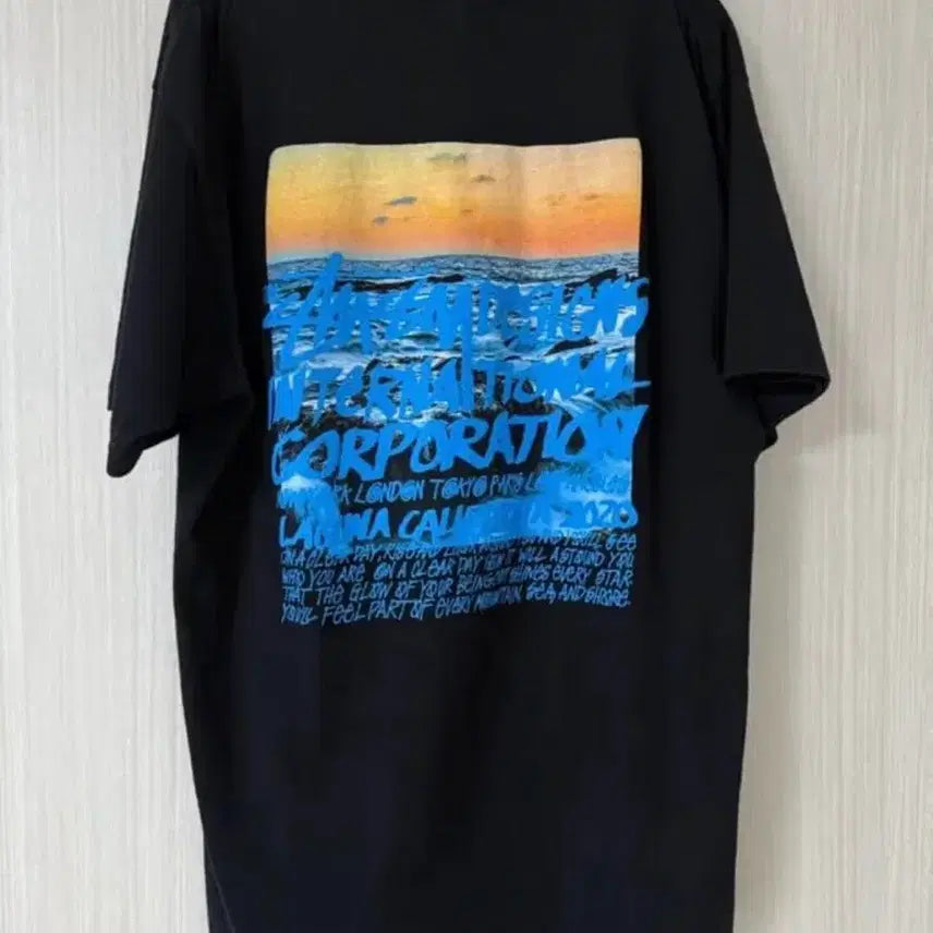 [BUNJANG] Stussy Clear Day T-Shirt Black / [L] 스투시 클리어데이 티셔츠 블랙