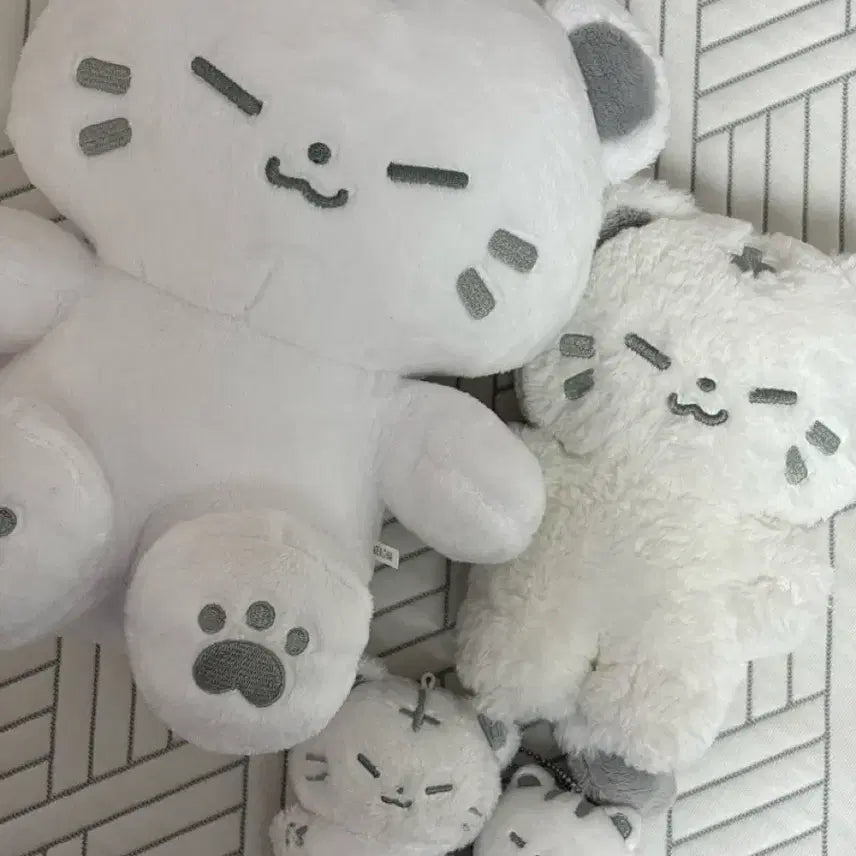 [BUNJANG] Unidentified Set / 호찌 세트 판매합니다