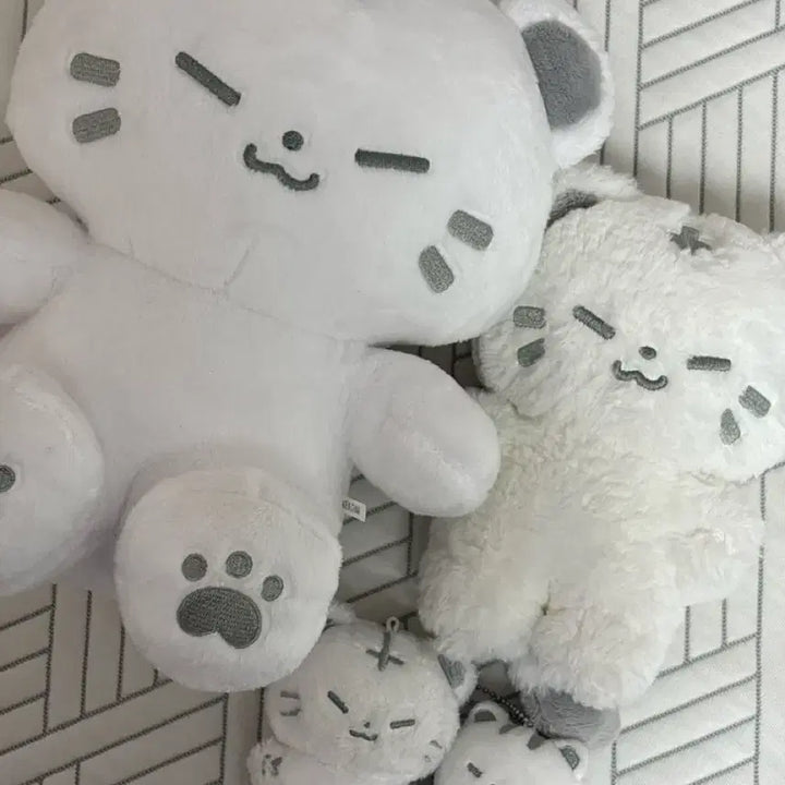 [BUNJANG] Unidentified Set / 호찌 세트 판매합니다
