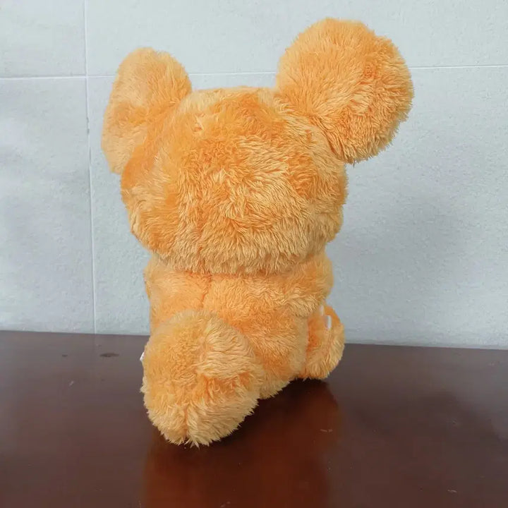 [BUNJANG] Pokemon Ursaring Plush Toy / 일본 포켓몬스터 깜지곰 인형