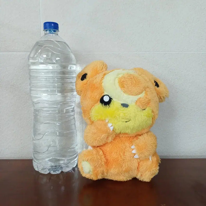 [BUNJANG] Pokemon Ursaring Plush Toy / 일본 포켓몬스터 깜지곰 인형