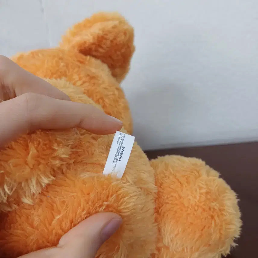 [BUNJANG] Pokemon Ursaring Plush Toy / 일본 포켓몬스터 깜지곰 인형
