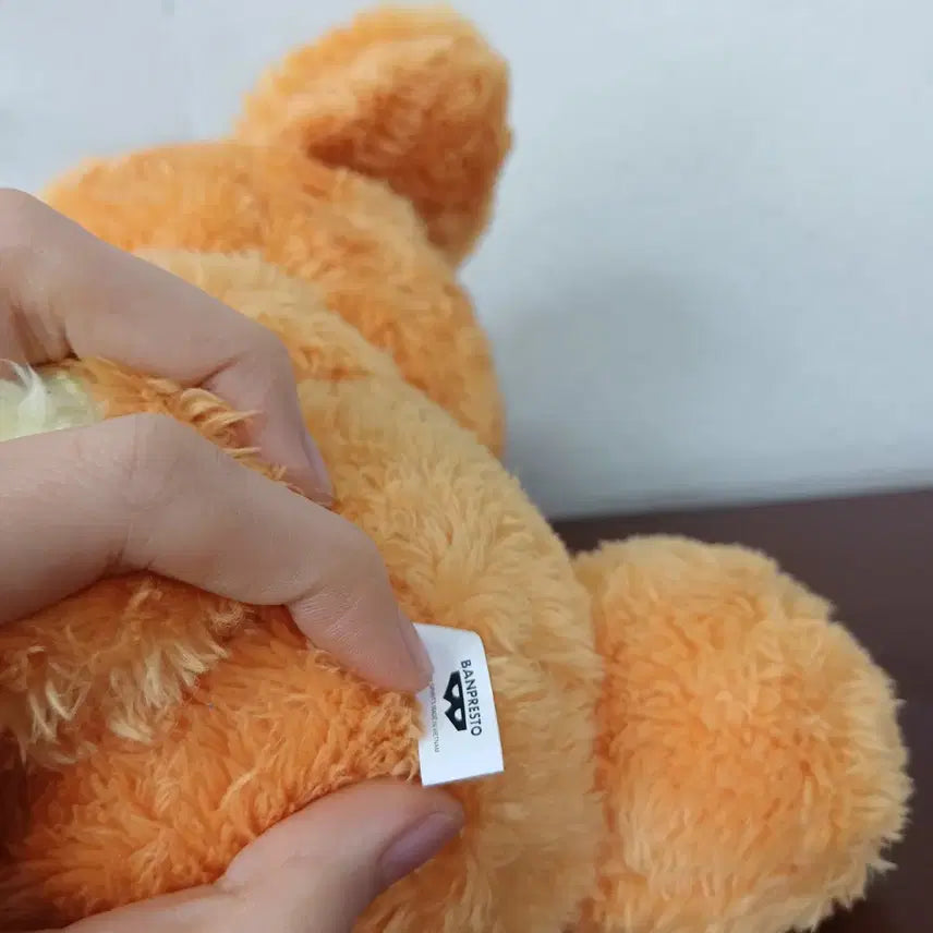 [BUNJANG] Pokemon Ursaring Plush Toy / 일본 포켓몬스터 깜지곰 인형