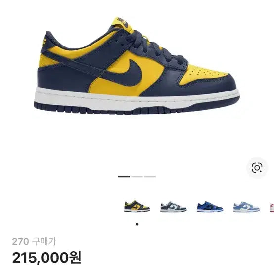 [SOLD OUT] 나이키 덩크 로우 레트로 바시티 메이즈 270