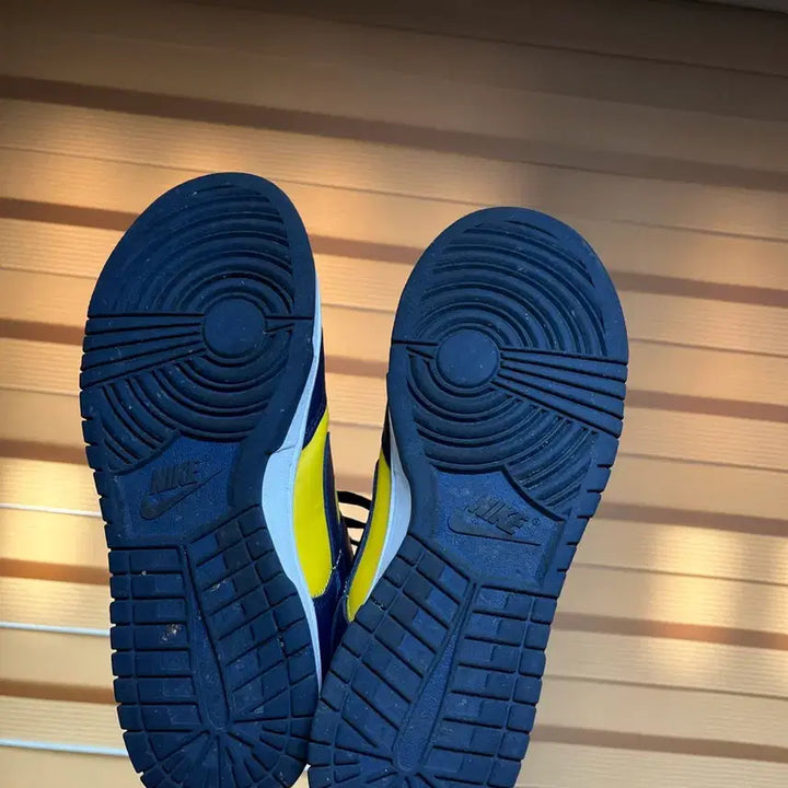 [SOLD OUT] 나이키 덩크 로우 레트로 바시티 메이즈 270