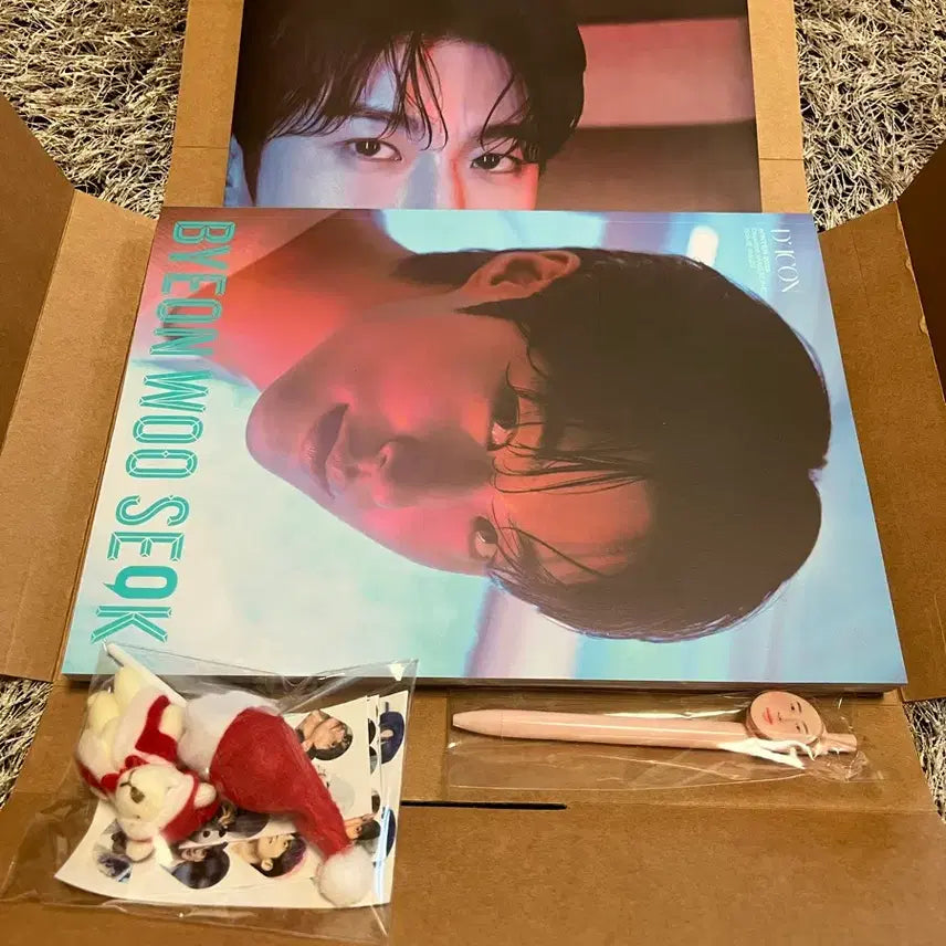 [BUNJANG] Byeon Woo Seok Dicon D Type Goods Set / 변우석디아이콘 변우석 디아이콘 D타입 변우석굿즈