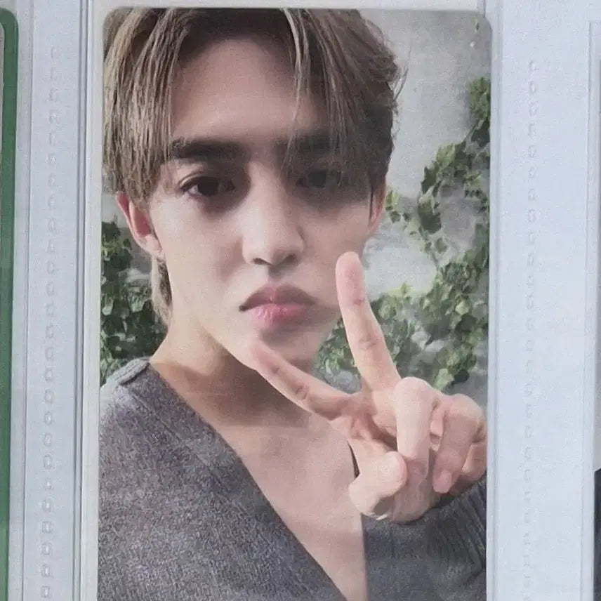 [BUNJANG] Seventeen S.Coups Standard Photocard / 세븐틴 에스쿱스 소비기한 통상반 스탠다드 standard 포카 포토카드