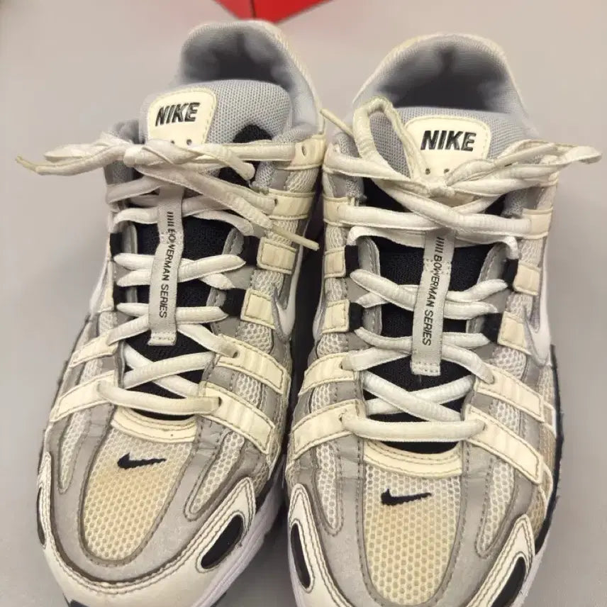 [BUNJANG] Nike P-6000 Silver / 나이키 P-6000 255cm