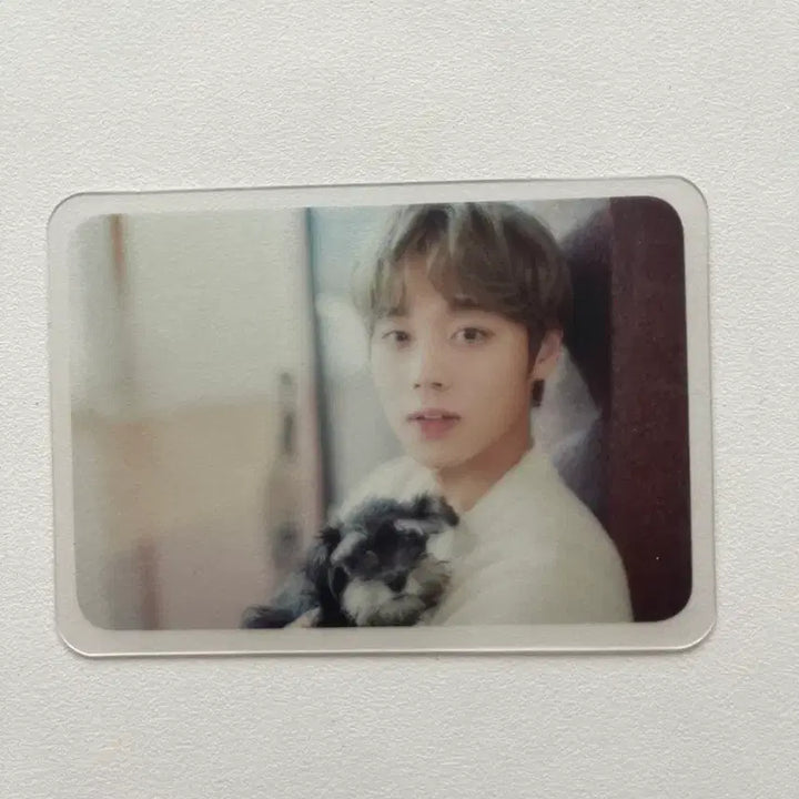 [BUNJANG] Wanna One Park Jihoon Dicon Special Limited Photocard / 희귀 매물 워너원 박지훈 디아이콘 스페셜 한정포카