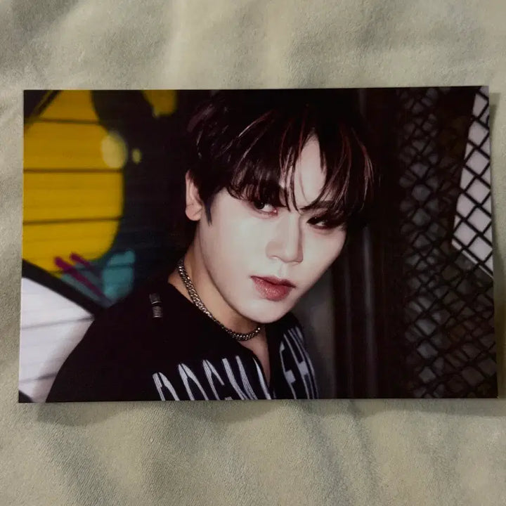 [BUNJANG] DKB GK Fan-Con MD Postcard / 다크비 GK 팬콘 엠디 엽서